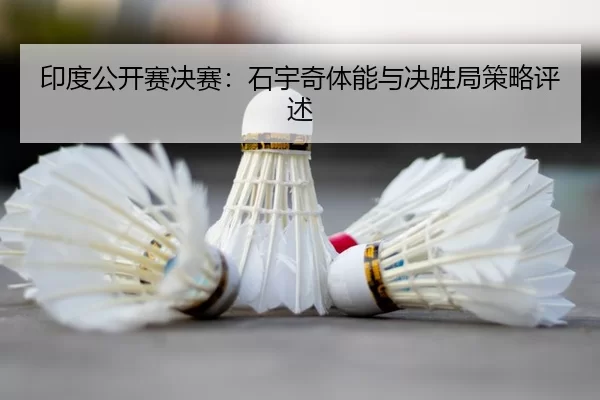 yin-du-gong-kai-sai-jue-sai-shi-yu-qi-ti-neng-yu-jue-sheng-ju-ce-lve-ping-shu-2-544.jpg